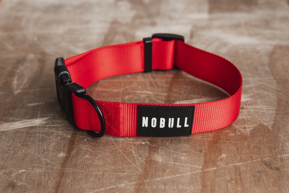 NOBULL Dog Collar (1.5 Inch) Red