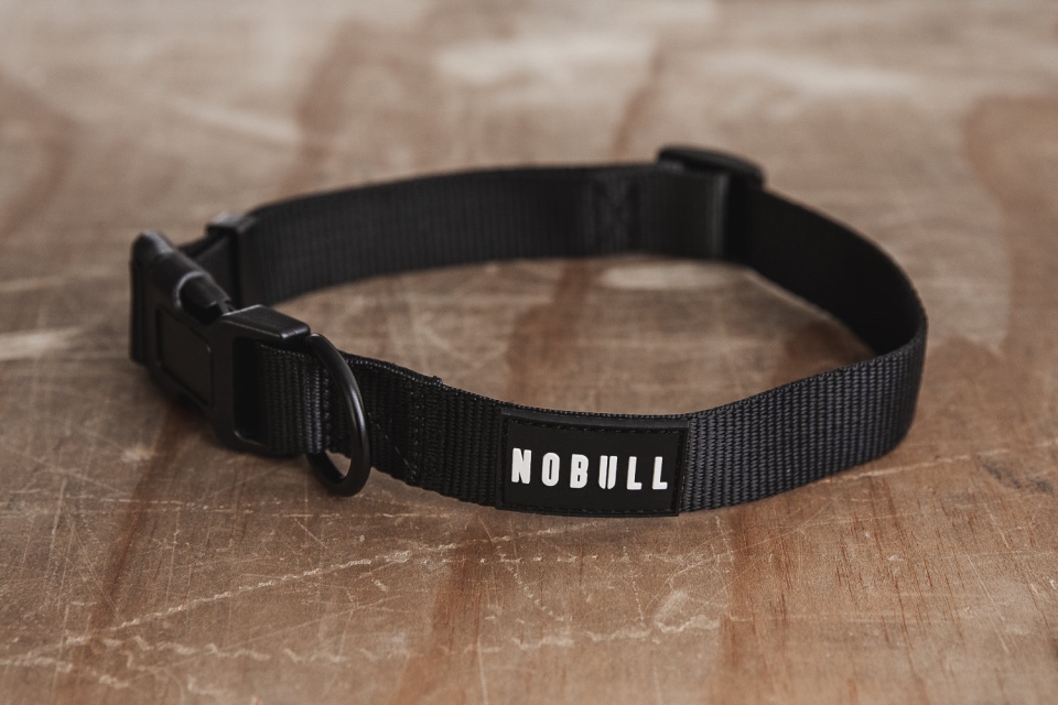 NOBULL Dog Collar (1 Inch) Black